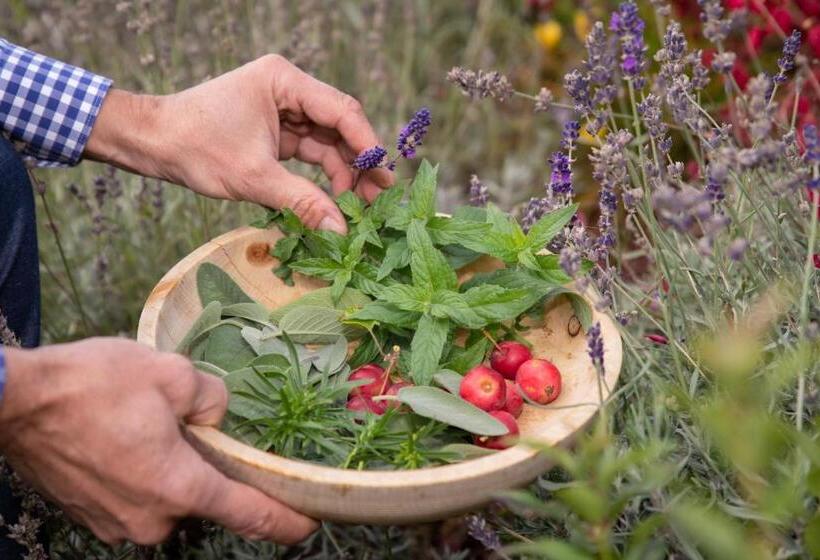 Berghotel Johanneshof