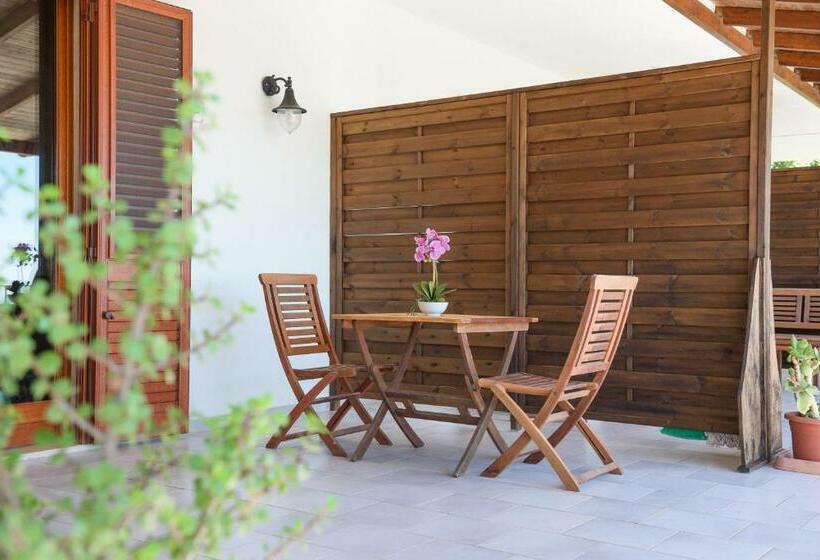 Complesso Delle Antiche Rotte