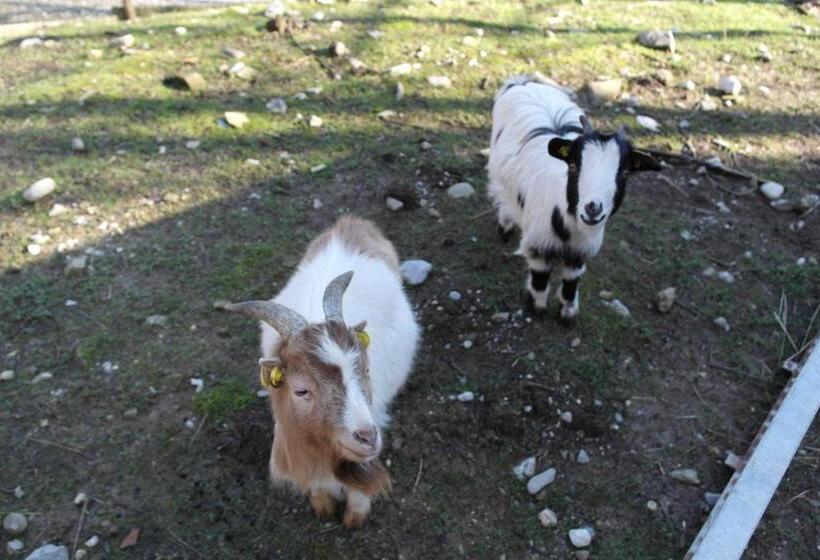 בית מלון כפרי Agriturismo Monte Del Re