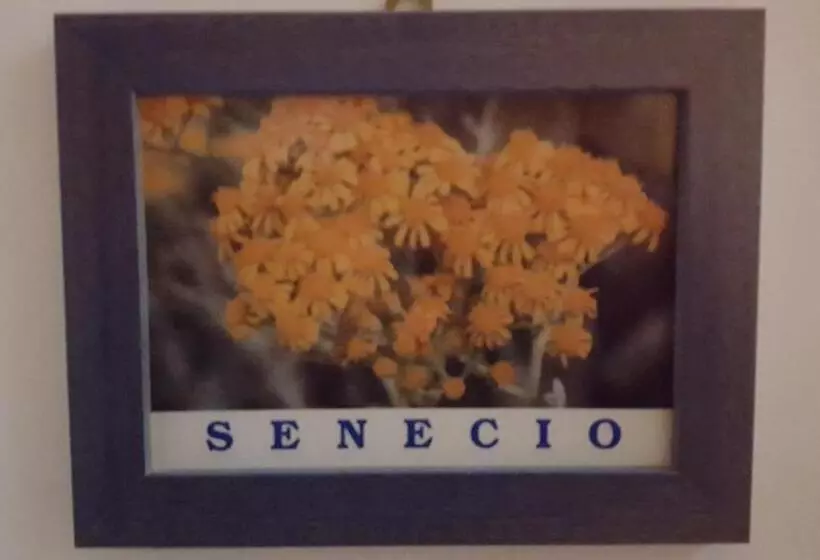 Majatalo Isoladelmiele