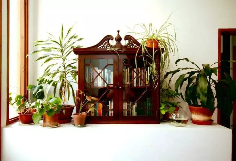 هاستل Casa California Guesthouse