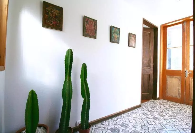 هاستل Casa California Guesthouse