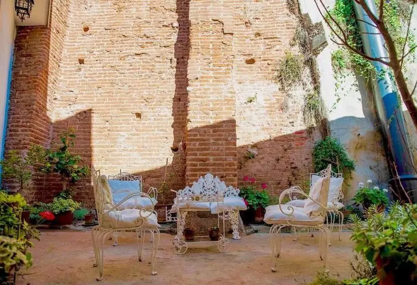 هاستل Casa California Guesthouse