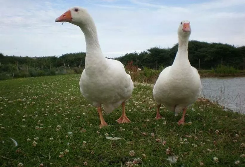 هتل Jurassic Loft Apartment