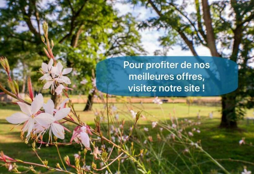 Bed and Breakfast Lou Castet De Lussolle Chambres D Hôtes