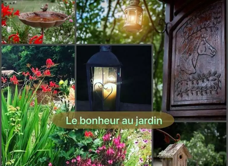 Aamiaismajoitus (B&B) Lou Castet De Lussolle   Chambres D Hôtes