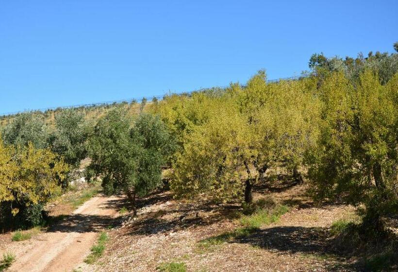 בית מלון כפרי Torre Bruno