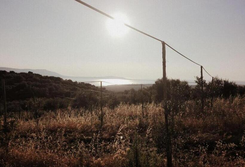 בית מלון כפרי Torre Bruno