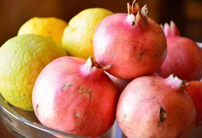 בית מלון כפרי Torre Bruno