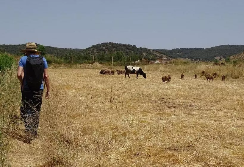 Majatalo Le Gite Du Barrage
