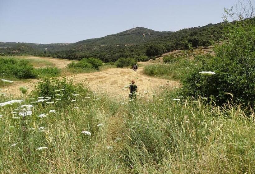 ペンション Le Gite Du Barrage