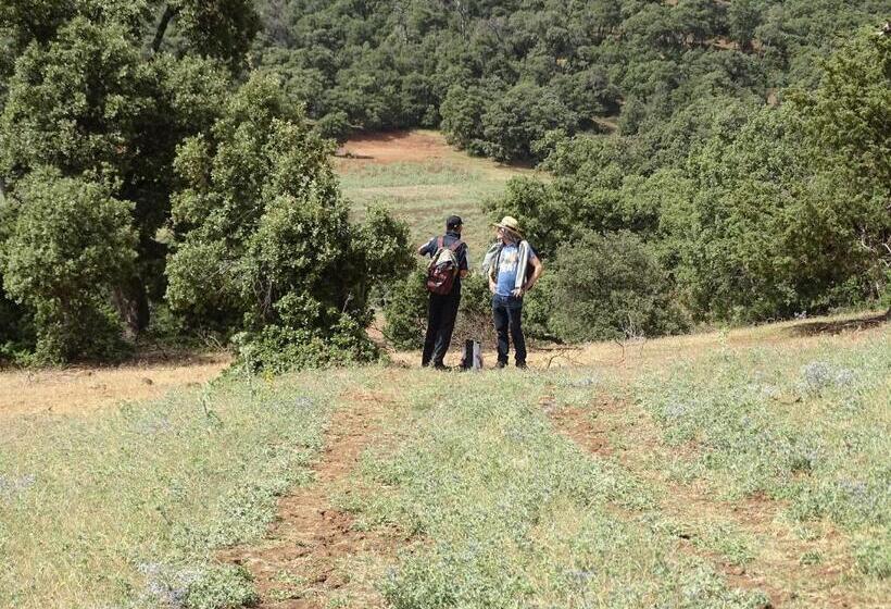 ペンション Le Gite Du Barrage