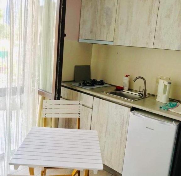 Borjomi Apartments Apart