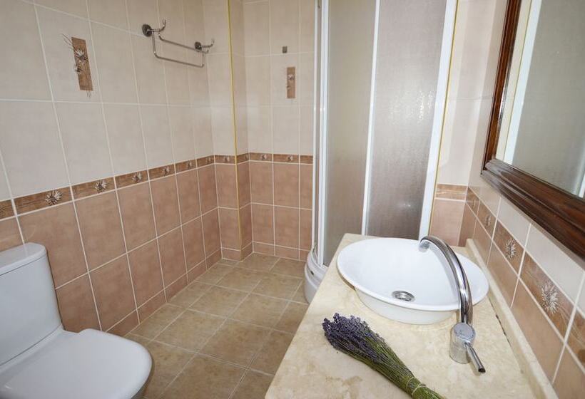 Bed and Breakfast Alayaz