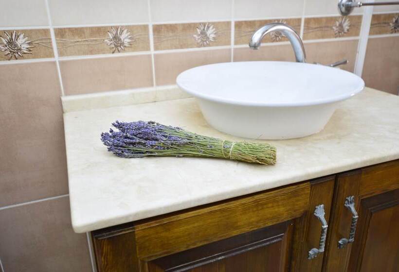 Bed and Breakfast Alayaz