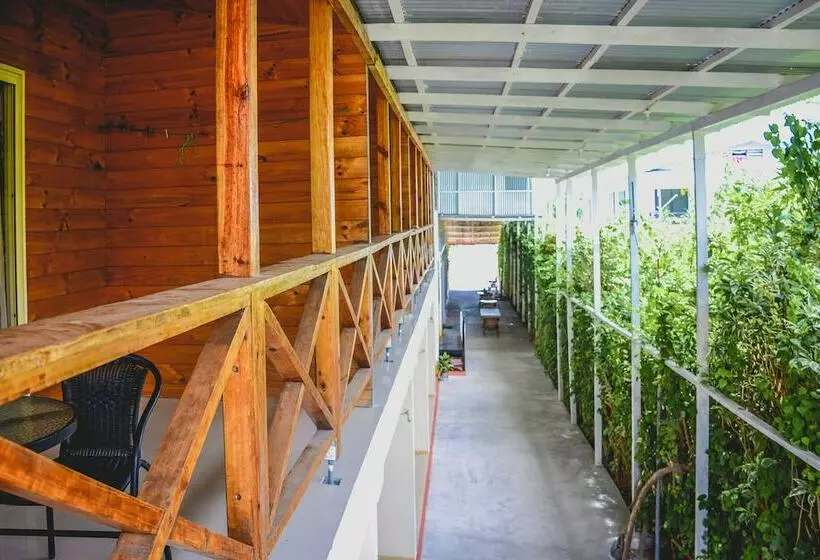 تختخواب و صبحانه Fema Lodge