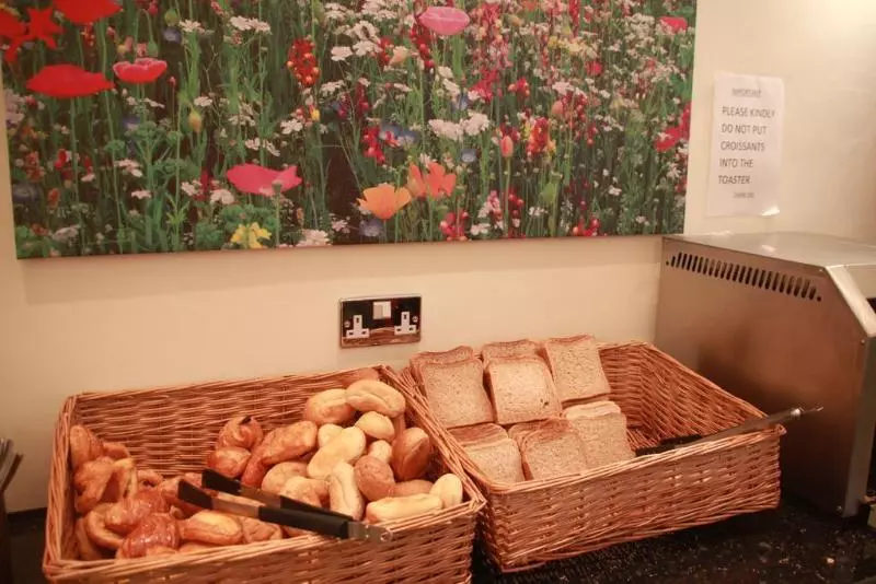 住宿加早餐  The Grapevine