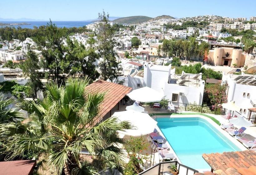 Hotel Gloria Tibi Jarra