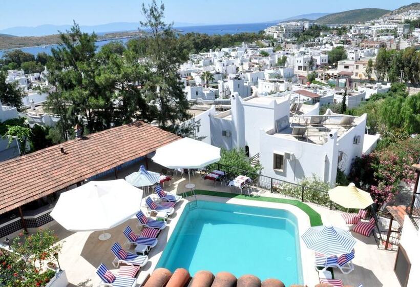 Hotel Gloria Tibi Jarra