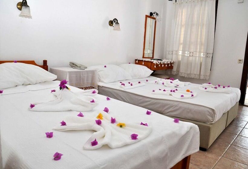 Hotel Gloria Tibi Jarra