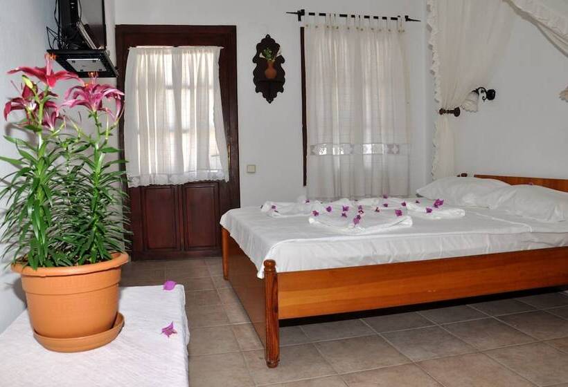 Hotel Gloria Tibi Jarra