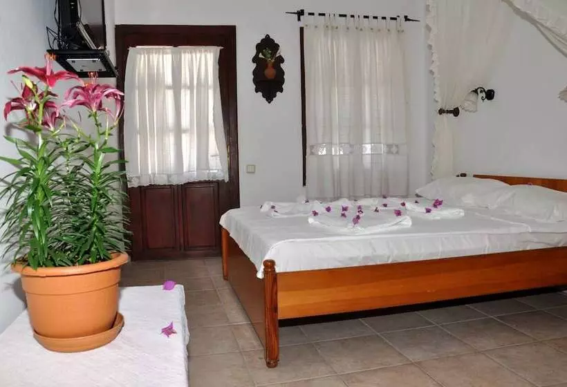 酒店 Gloria Tibi Jarra