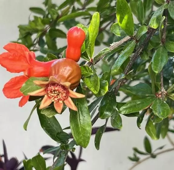 ホテル Matogianni