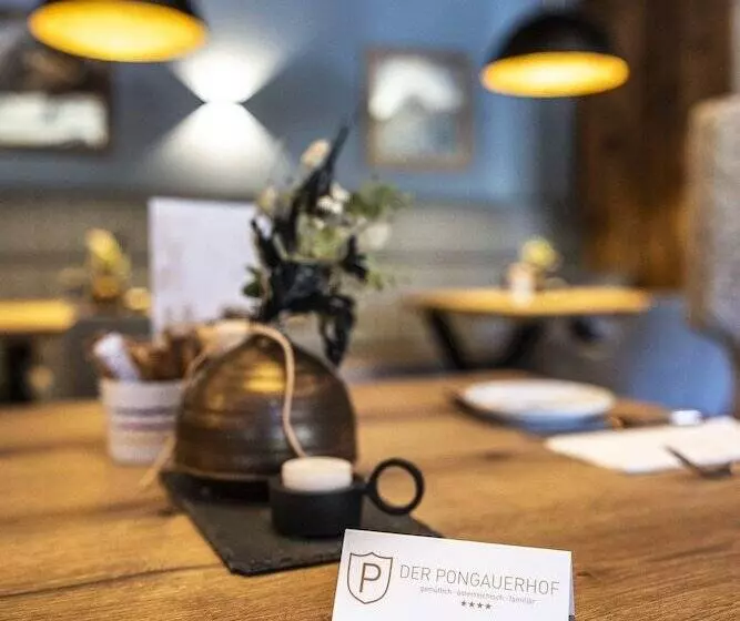 酒店 Pongauerhof