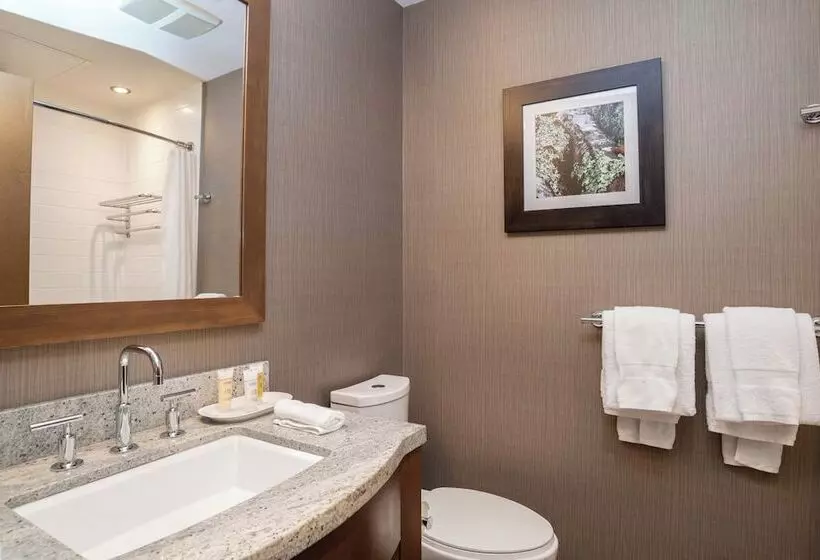 Sutton Place Hotel Revelstoke Mountain Resort