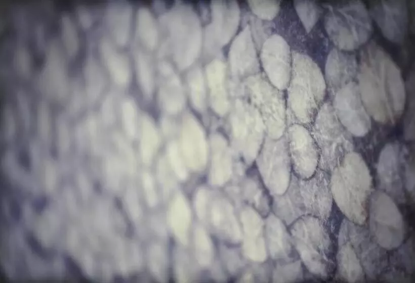 Hotel Torre De Quintana