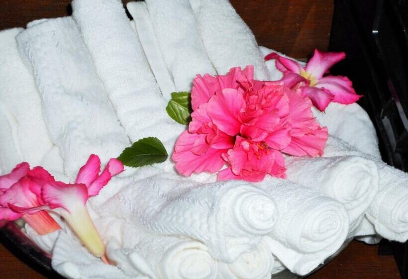 فندق Zihua Caracol