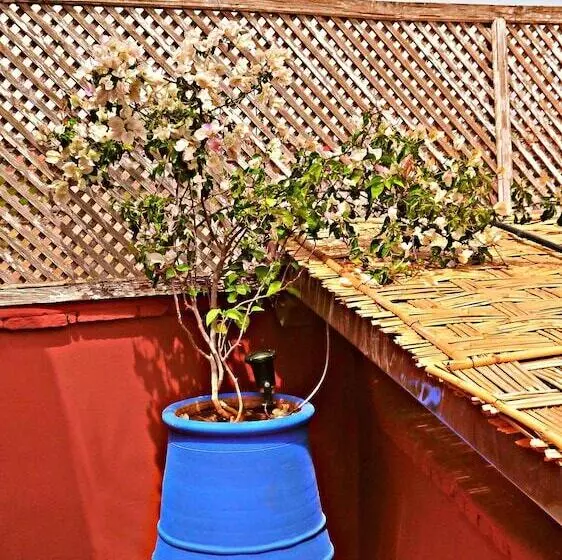 Riad Sidi Mimoune & Spa