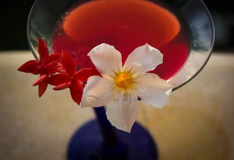 Suites & Hotel Punta Esmeralda