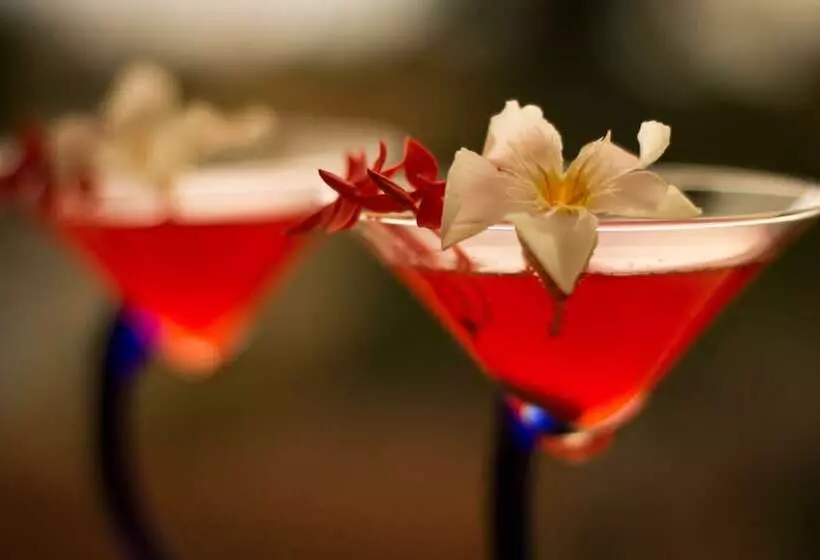 Suites & Hotel Punta Esmeralda