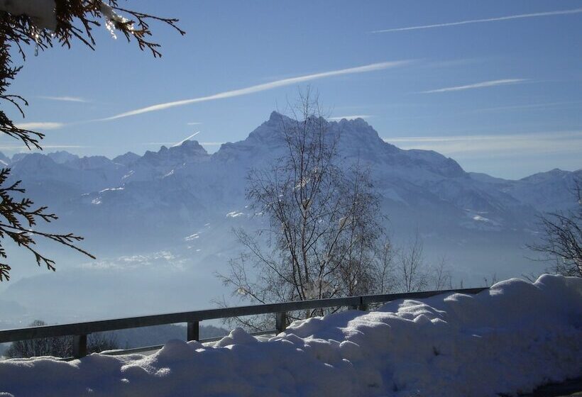 هتل Castel Club Leysin Parc Resort