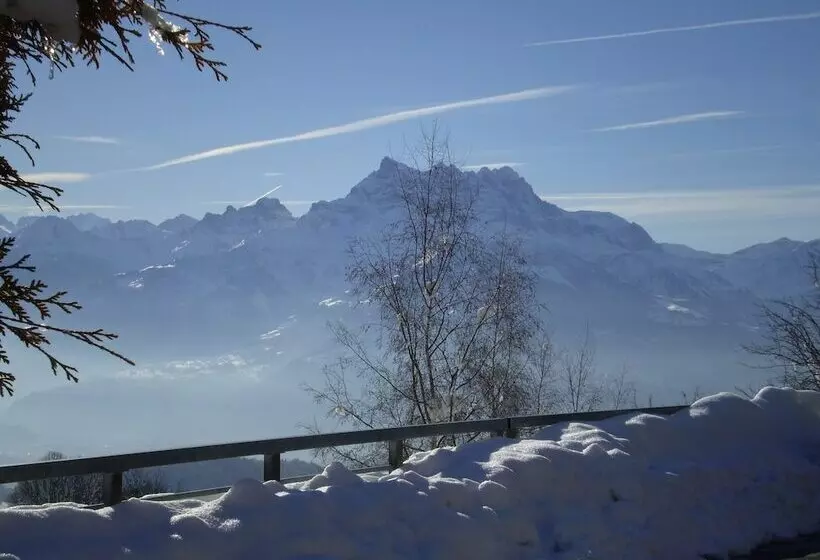 هتل Castel Club Leysin Parc Resort