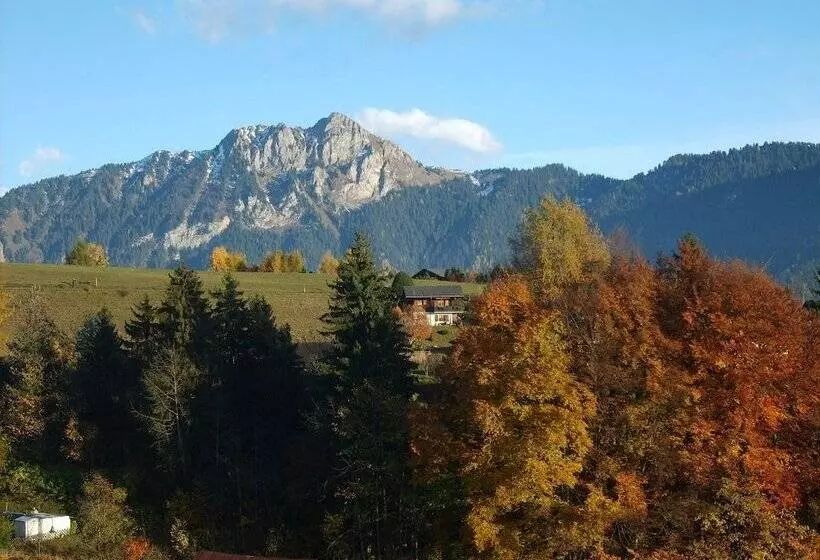 هتل Castel Club Leysin Parc Resort