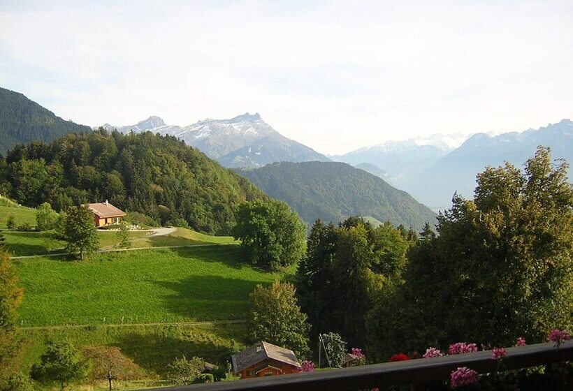 هتل Castel Club Leysin Parc Resort