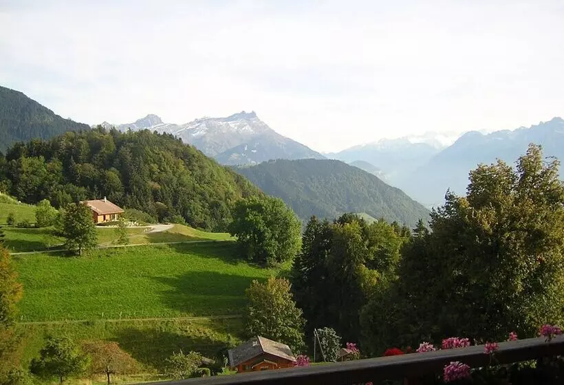 هتل Castel Club Leysin Parc Resort