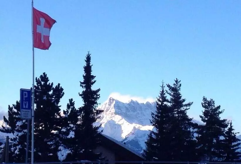 هتل Castel Club Leysin Parc Resort