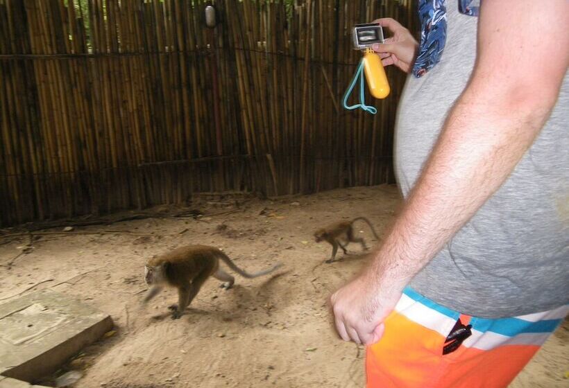 Отель Diamond Cave Resort