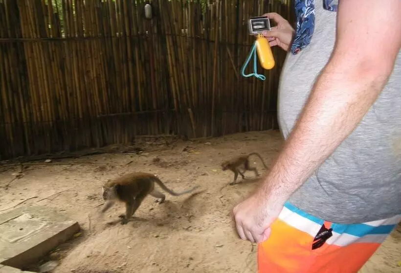 בית מלון כפרי Diamond Cave Resort