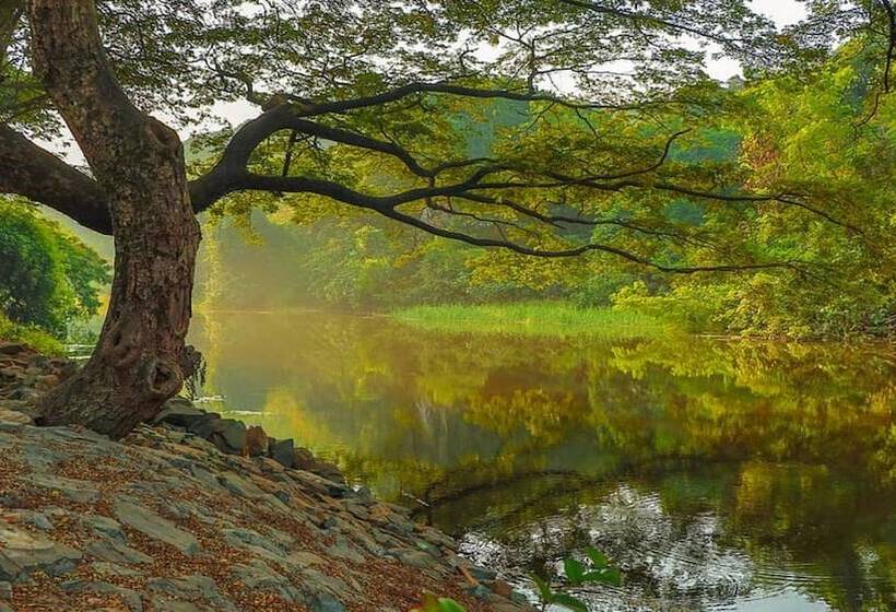 호텔 Holiday Inn Mumbai International Airport, An Ihg