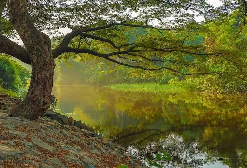 Hotel Holiday Inn Mumbai International Airport, An Ihg