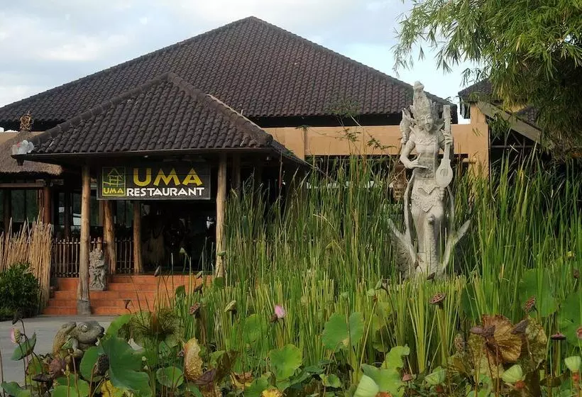 酒店 Mara River Safari Lodge Bali