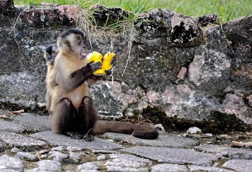 בית מלון כפרי Mato Grosso Águas Quentes