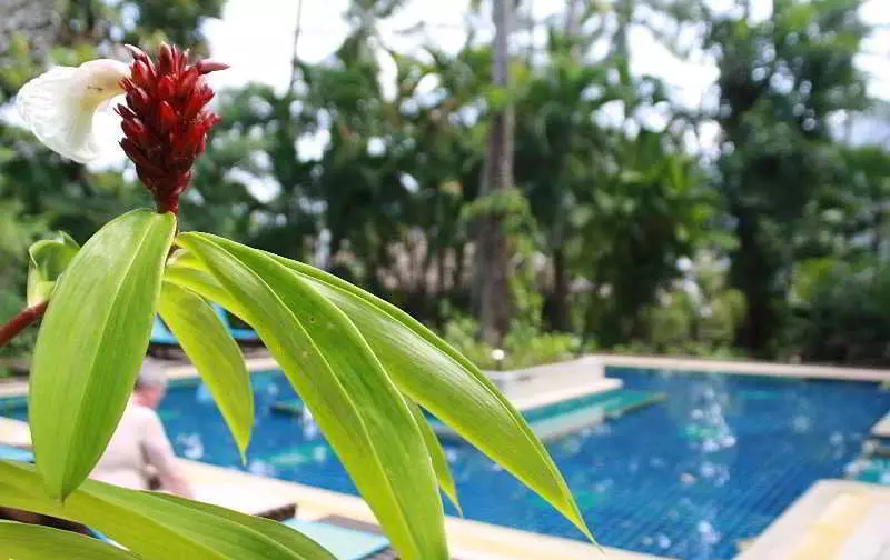 Tropical Herbal Spa & Resort