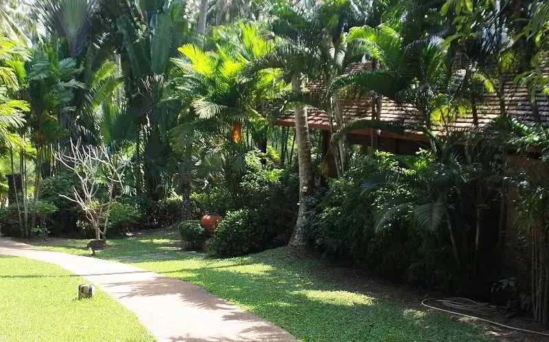Tropical Herbal Spa & Resort
