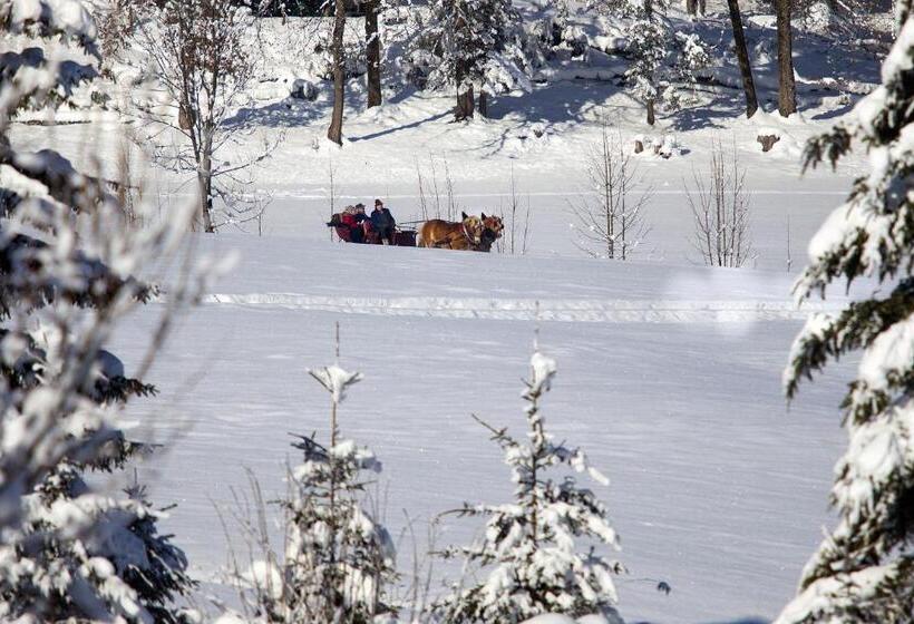 Alpenhotel Weiherbach Berchtesgaden Hallenbad Und Sauna