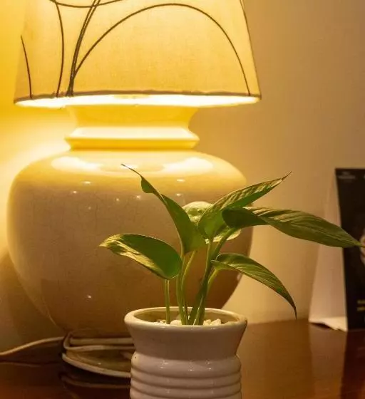 Отель Classic Sarovar Portico Trivandrum